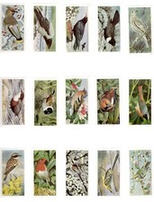 Wild birds britain for sale  BRECON