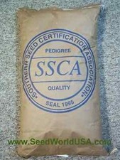 Tifquik bahia grass for sale  Odessa