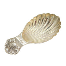 Sterling silver shell for sale Sterling silver shell for sale  EDINBURGH