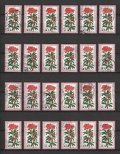 24x alpenblume alpenrose gebraucht kaufen  Bielefeld