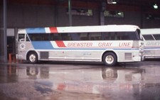 Original Bus Slide Charter Brewster Gray Line 1981 #37 comprar usado  Enviando para Brazil