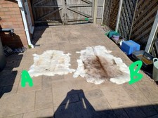 Reindeer skins. two for sale  CREWE
