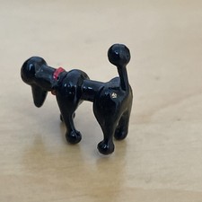 miniature poodle for sale miniature poodle for sale BEDLINGTON