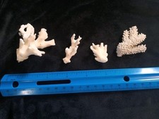 White coral pieces for sale  Alvarado