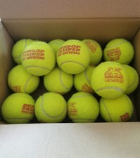 tennisballe gebraucht kaufen  Babenhausen