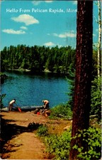 Pelican rapids minnesota for sale  USA