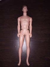 Barbie ken party usato  Pomezia