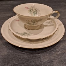 Hutschenreuther arnsberg 1674 gebraucht kaufen  Steinheim