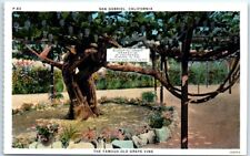 Postcard famous old for sale  Stevens Point