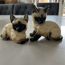 Leonardo collection siamese for sale  NEWARK