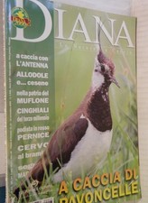 Diana 2000 cinghiale usato  Salerno