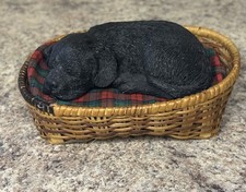 Sandicast lil snoozers for sale  Concord