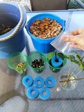 Tree cloning kit for sale  Milton