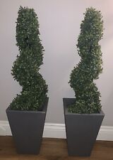 Topiary trees pots for sale  LICHFIELD