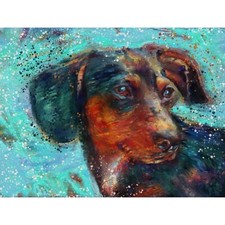 Dachshund art print for sale  NOTTINGHAM