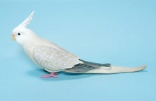 Shine tenori inko for sale  Fresno