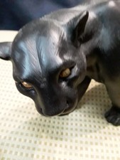 Black puma panther for sale  Northfield