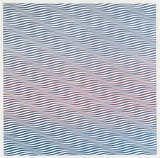 Cataract bridget riley for sale Cataract bridget riley for sale  BARNSLEY