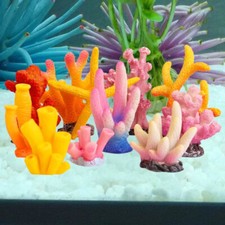 Mini acquario medio usato  Spedire a Italy