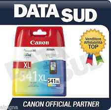 Canon 541xl colore usato  Battipaglia
