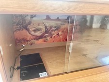 Reptile vivarium 3x2x2 for sale  SCARBOROUGH
