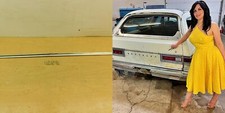 Tailgate trim molding for sale  Oroville