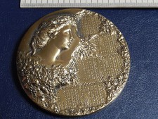 Big medaille bronze d'occasion  Argenteuil