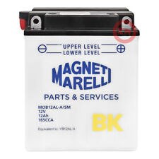 Batteria magneti marelli usato  Italia