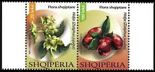 Usado, ALBÂNIA 2023 - Conjunto "Flora-Jujuba Albanesa (Ziziphus jujuba)" - MNH comprar usado  Enviando para Brazil