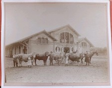 Anciennes (avant 1900) d'occasion  Pomarez