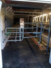 Melkstand system dairymaster gebraucht kaufen  Kirchlinteln