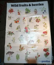 Guardian wild fruits for sale Guardian wild fruits for sale  REDDITCH