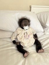 Beautiful monkey chimp for sale  CARNFORTH