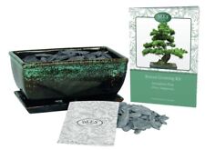 Bonsai tree kit for sale  CIRENCESTER