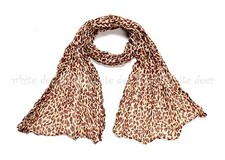 Small leopard cheetah for sale  Dallas