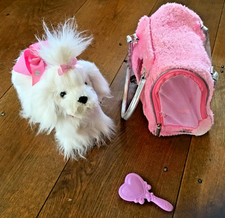 Pucci pups white for sale  CRAVEN ARMS