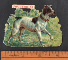 Fox terrier dog d'occasion  Expédié en Belgium