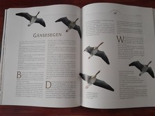 Jagdbuch dickbuch bildband gebraucht kaufen Jagdbuch dickbuch bildband gebraucht kaufen  Brüggen