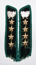 Kragenspiegel forstministerium gebraucht kaufen  Nienburg