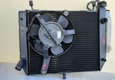 Radiatore acqua ventola usato  Nardo