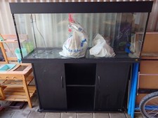 Aquarium gebraucht kaufen  Oberndorf am Neckar