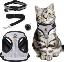 Pettorina gatto pettorina usato  Roma