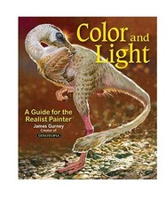 Color and light gebraucht kaufen  Trebbin