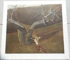 Andrew wyeth jacklight for sale  Naples