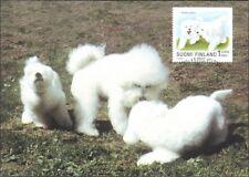 Poodle bichon frise d'occasion  Expédié en Belgium