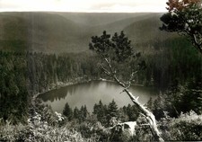Darmstadter hutte wildsee gebraucht kaufen  Leonberg