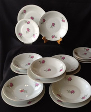 Chodziez porzellan rosendekor gebraucht kaufen  Dorshm., Guldental, Windeshm.