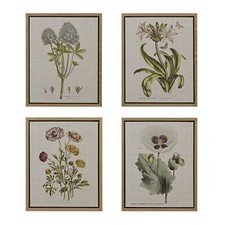 Madison park botanical for sale  USA