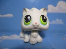 Petshop chaton 100 d'occasion  Bailleul