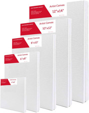 Pcs stretched canvases for sale  Denver